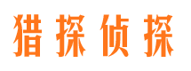 武功调查公司